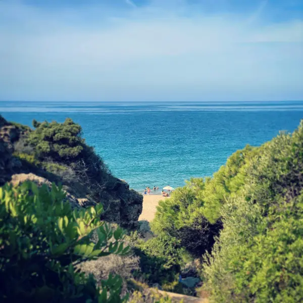 Hipotel Conil - Foto 2