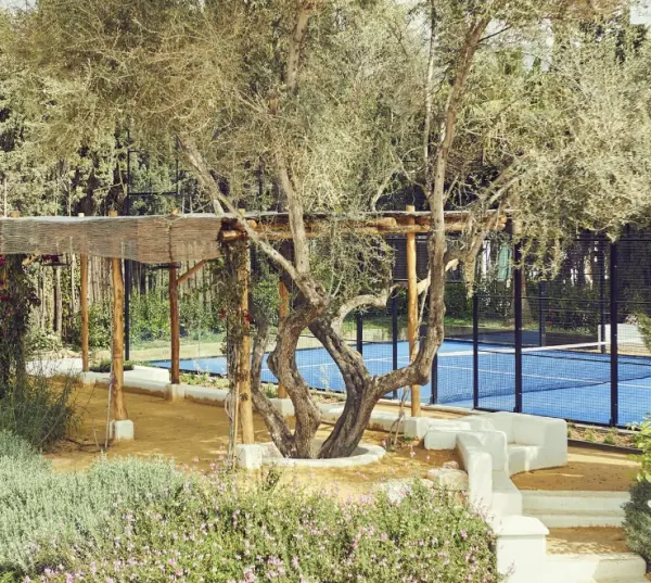 The Padel Monopoly