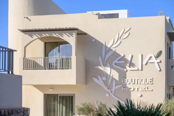 Elia Boutique Hotel - hotel photo 1