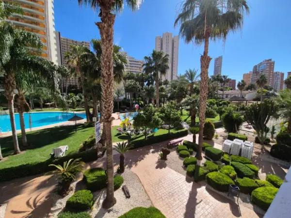 Gemelos 22-Fincas Benidorm - foto 3 del hotel