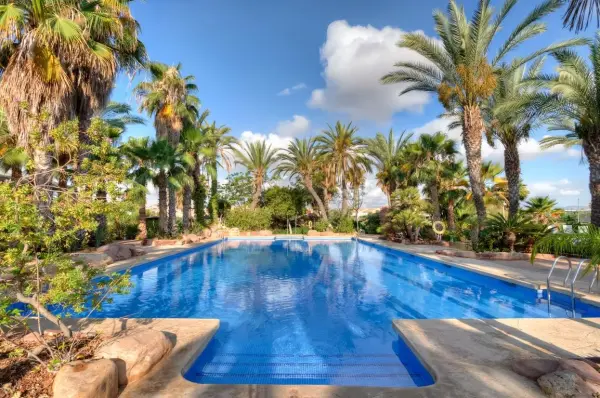 Hotel Alicante Golf - hotel photo 2