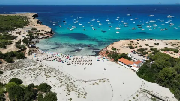 Hotel Cala Saona - hotel photo 3