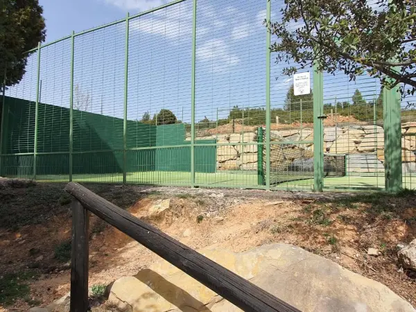 Terrain de padel : Hotel Masía El Molinete, Aragon - photo 2