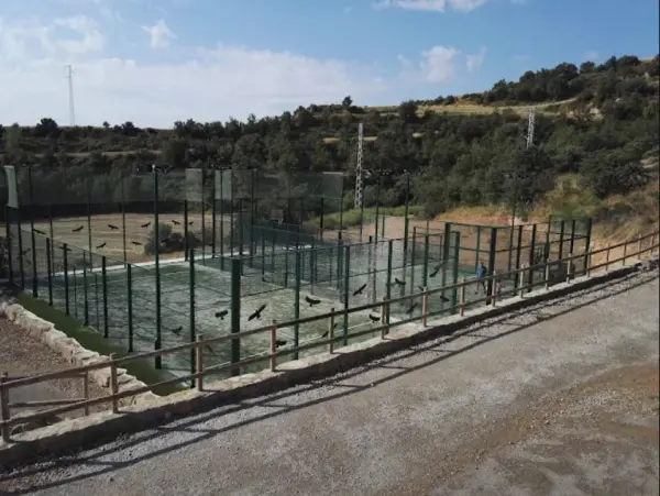 Pista de pádel en Mas Serrallimpia, Cataluña - foto 3