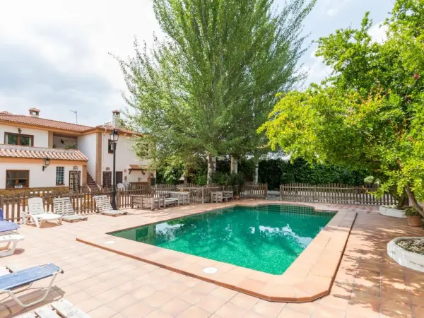 Padul Padel Villa - Hotelfoto 3