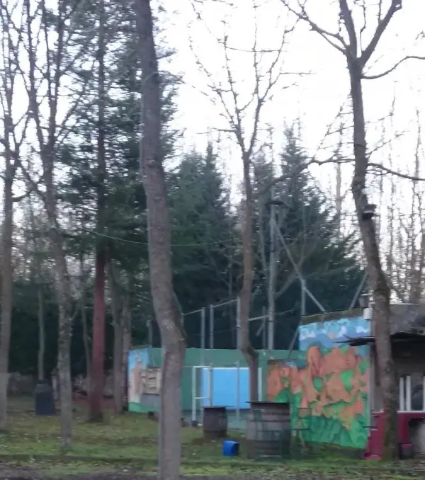 Padelplatz bei Rural Hotel Camino Medulas, Kastilien und León - Foto 1