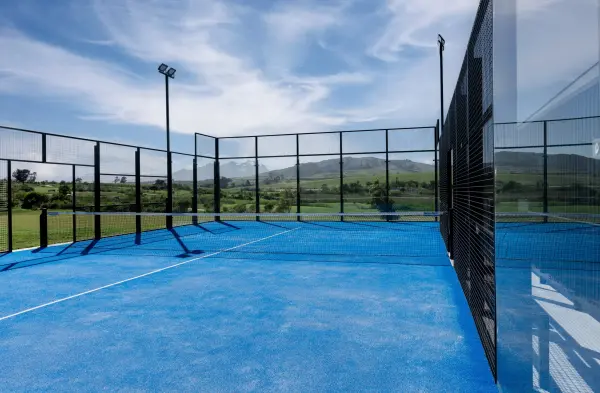 Padel court at The Hazendal Hotel and Homestead, Western Cape - photo 1